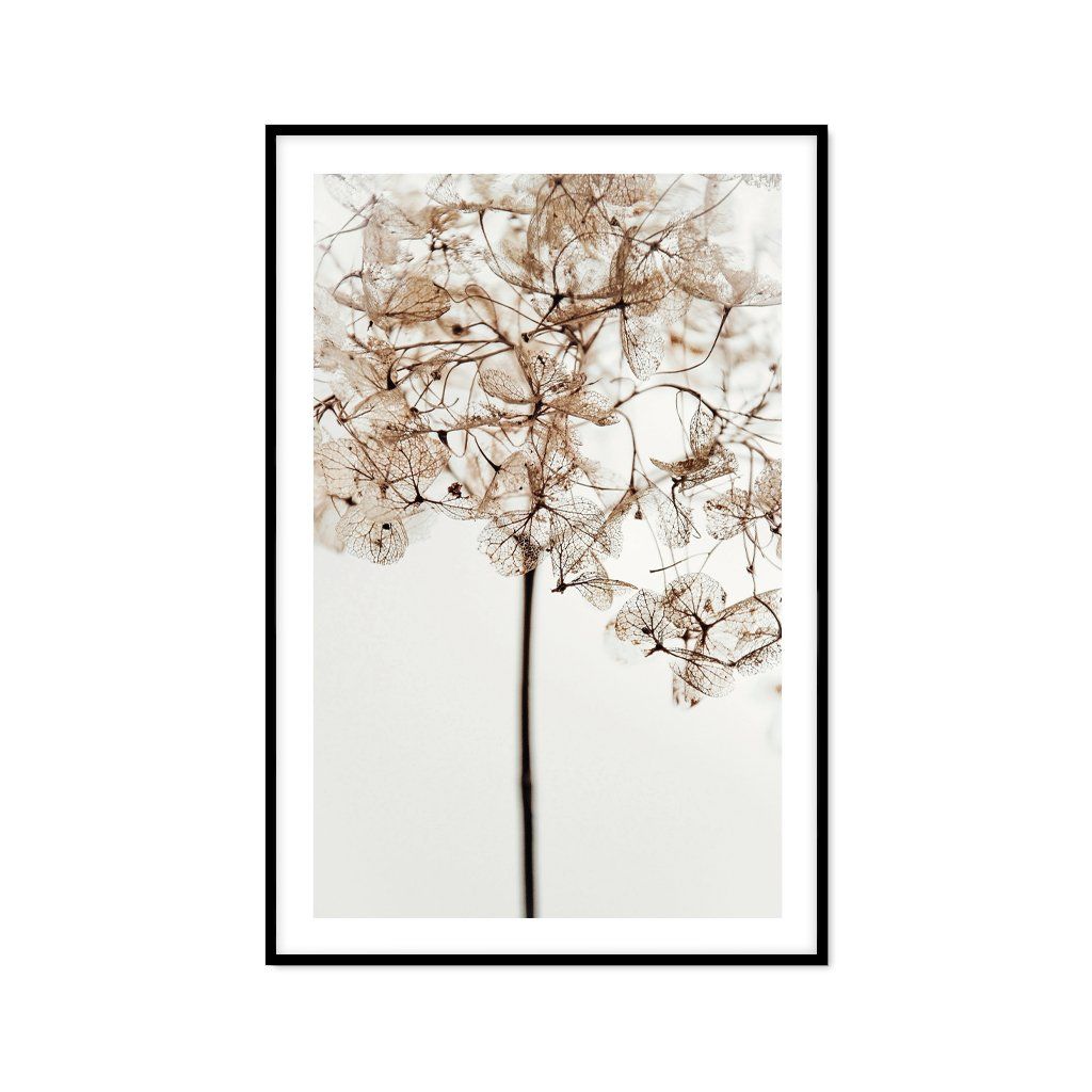 Tranh Thực Vật Passion FR1084