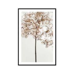 Tranh Thực Vật Passion FR1084