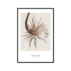 Tranh Thực Vật Passion FR1085