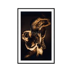 Tranh Đời Sống Passion FR1540