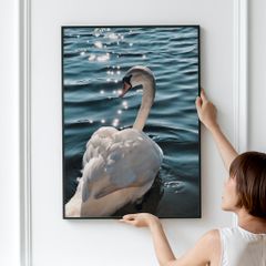 Tranh Động Vật Passion FR1421