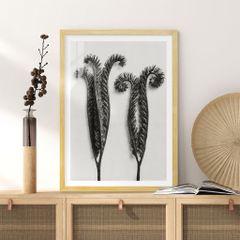 Tranh Thực Vật Passion FR1273