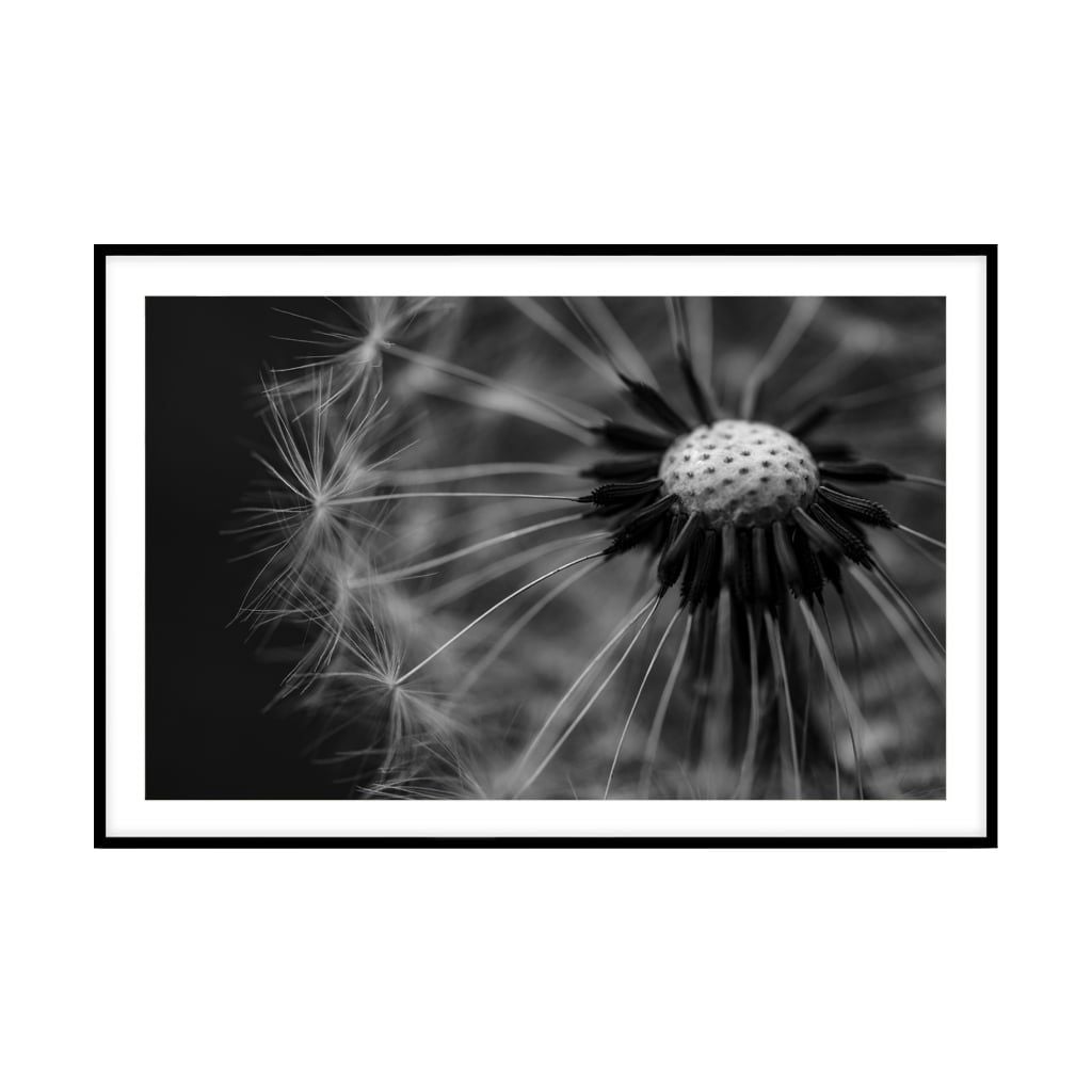 Tranh Thực Vật Passion FR1265