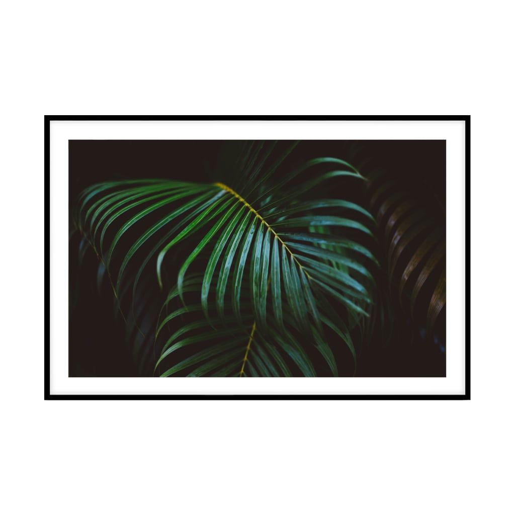 Tranh Thực Vật Passion FR1263