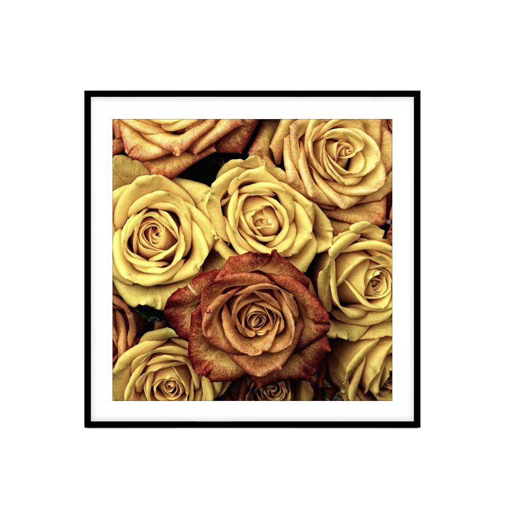 Tranh Thực Vật Passion FR1259