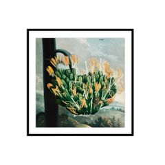 Tranh Nghệ Thuật Passion FR1392