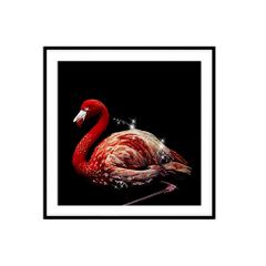 Tranh Động Vật Passion FR1395