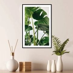 Tranh Thực Vật Passion FR1172