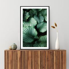 Tranh Thực Vật Passion FR1174