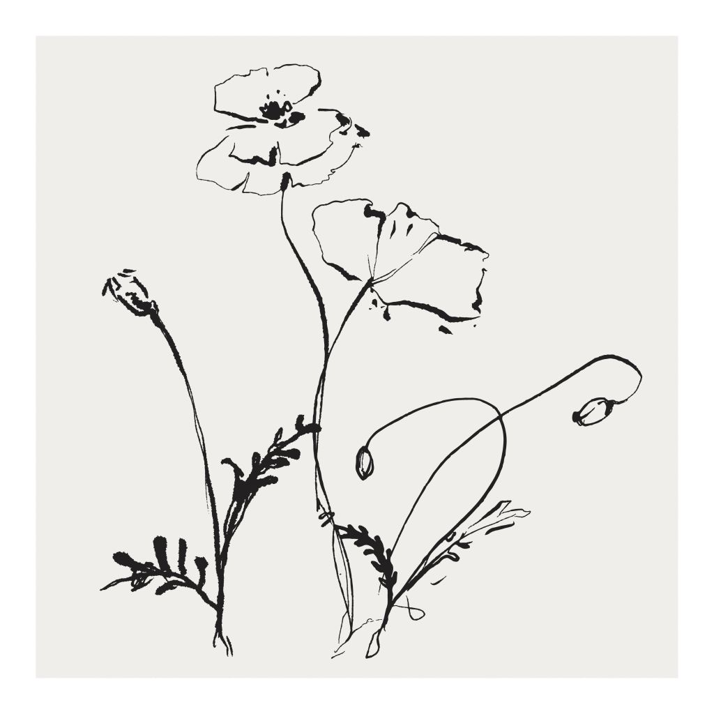 Tranh Thực Vật Passion FR1531