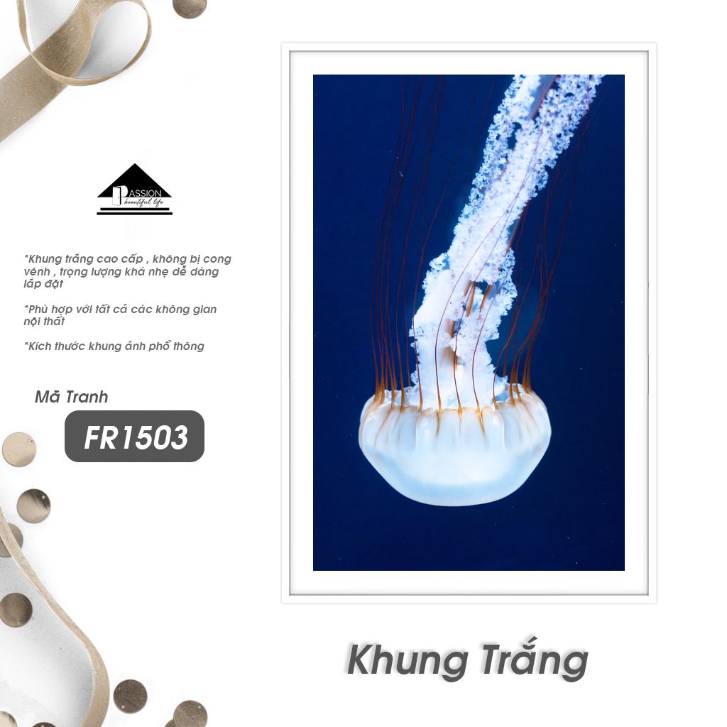 Tranh Động Vật Passion FR1503