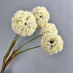 Hoa Bóng Hình Tròn Độc Đáo Decor Không Gian