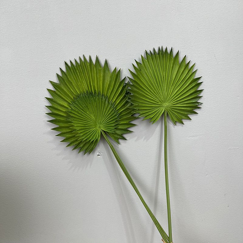 Combo 3 Lá Cọ Sậy Nhựa Decor