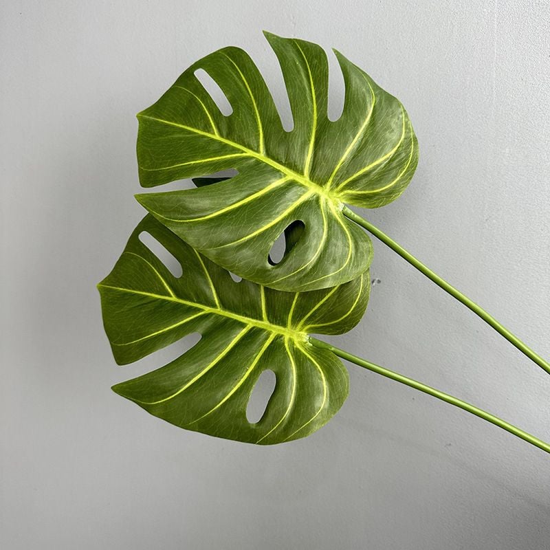Lá Rùa Xanh Decor
