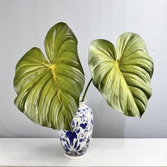 Lá Cây Trầu Bà Monter Leaf Lớn Nhựa Mềm