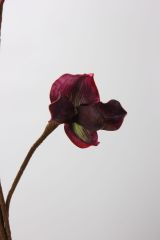 Cành Hoa Lan Lép Paphiopedilum EVA Mềm Mại Cao Cấp