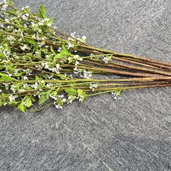 Hoa Tuyết Liễu Trắng Trang Trí Không Gian Nhẹ Nhàng