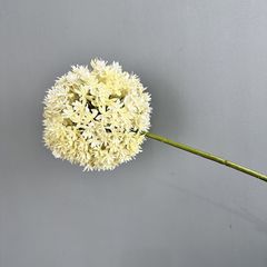 Hoa Bóng Hình Tròn Độc Đáo Decor Không Gian