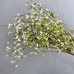 Hoa Tuyết Liễu Trắng Trang Trí Không Gian Nhẹ Nhàng