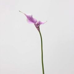 Hoa Giả Decor Hoa Lily EVA Calla Sang Trọng