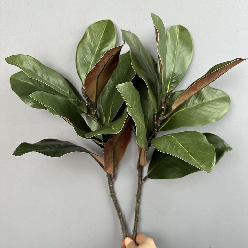 Cành Lá Mộc Lan Decor Không Gian