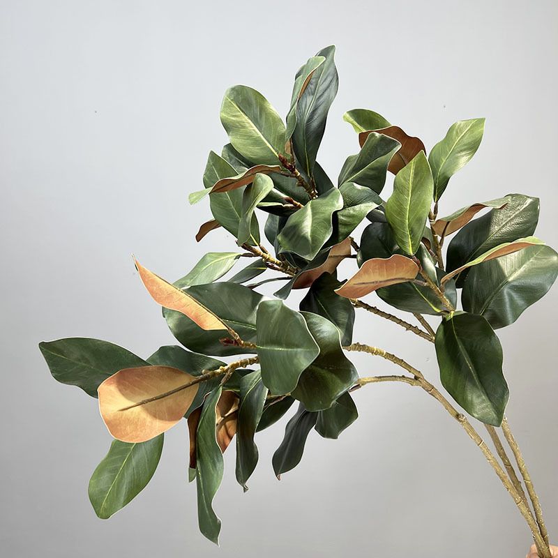 Cành Lá Mộc Lan Decor Không Gian