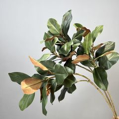 Cành Lá Mộc Lan Decor Không Gian