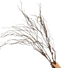 Cành Rồng Liễu Giả Dáng Khô