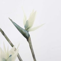 Hoa Lụa Giả Decor Hoa Chim Thiên Đường