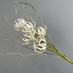 Hoa Cúc Hướng Dương EVA Phong Cách Châu Âu Cổ Điển