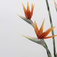 Hoa Lụa Giả Decor Hoa Chim Thiên Đường