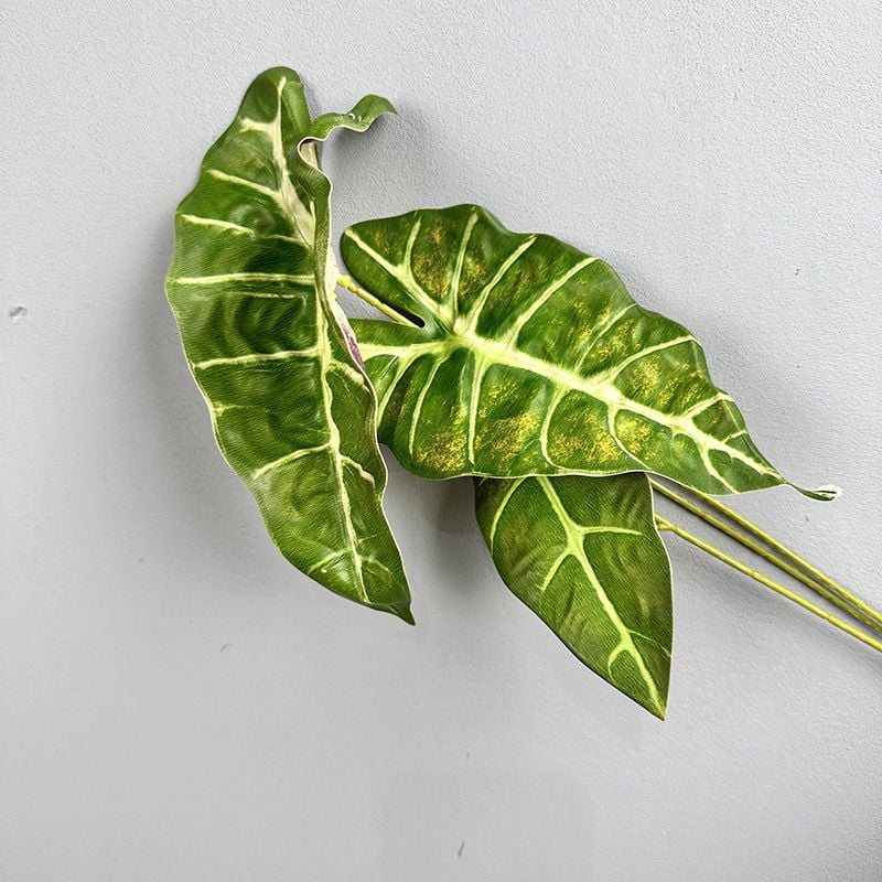 Cành Lá Polly Xanh Đen Cắm Hoa Làm Tiểu Cảnh Decor