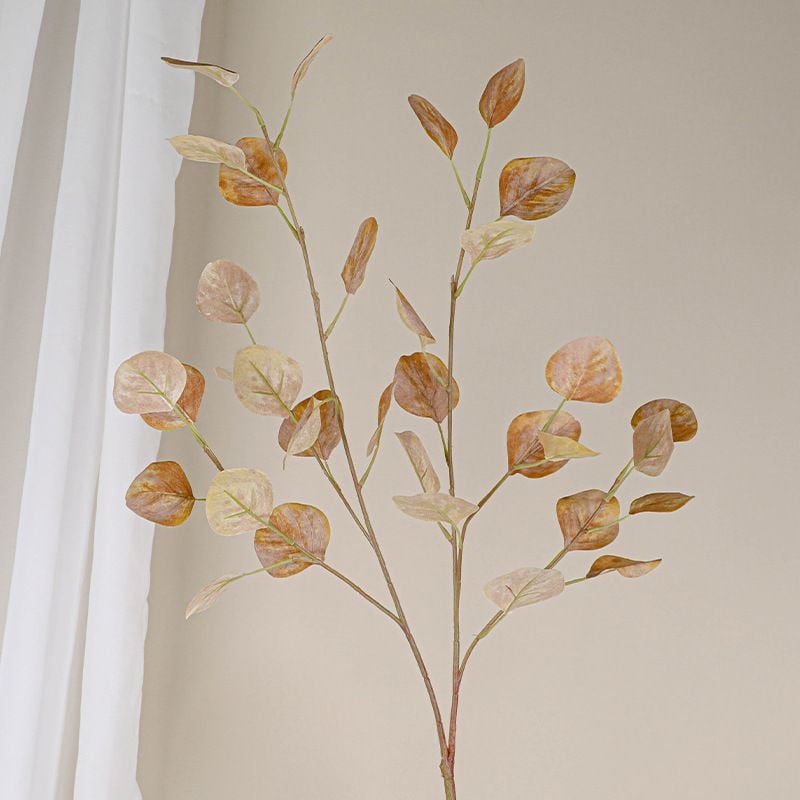 Lá Bạch Đàn Cánh Tròn Decor