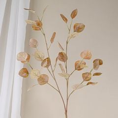 Lá Bạch Đàn Cánh Tròn Decor