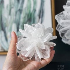 Tượng Quả Cầu Hoa Pha Lê