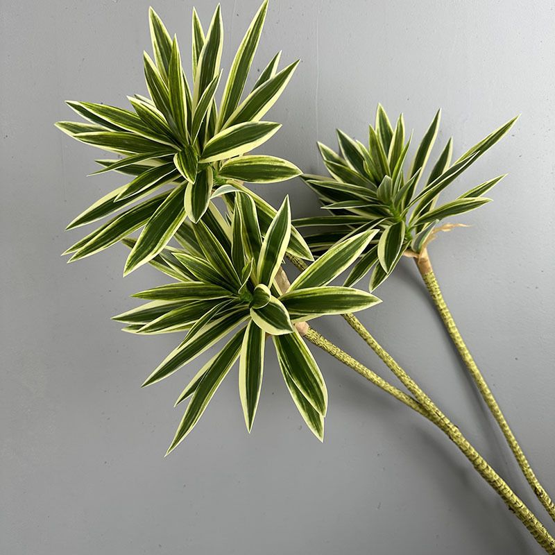 Cành Măng Tây Tre Keo Mềm Decor Hiện Đại
