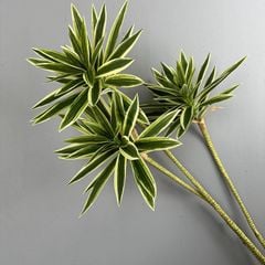 Cành Măng Tây Tre Keo Mềm Decor Hiện Đại