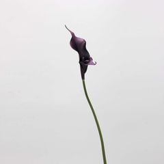 Hoa Giả Decor Hoa Lily EVA Calla Sang Trọng