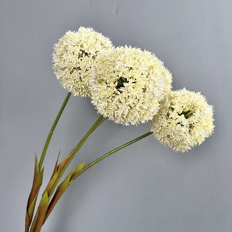 Hoa Bóng Hình Tròn Độc Đáo Decor Không Gian