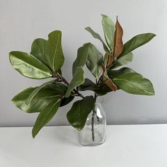 Cành Lá Mộc Lan Decor Không Gian