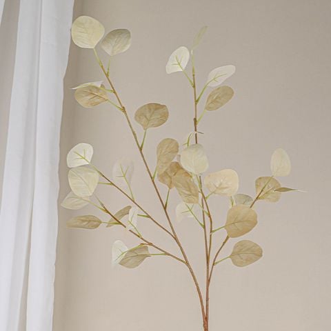 Lá Bạch Đàn Cánh Tròn Decor