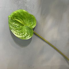 Hoa Môn Giả Anthurium Cành Đơn In 3D Decor Sang Trọng