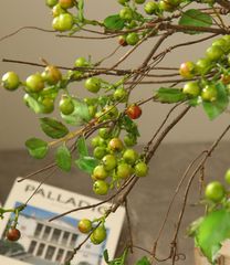 Cành Cây Trang Trí Quả Berry