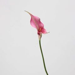 Hoa Giả Decor Hoa Lily EVA Calla Sang Trọng