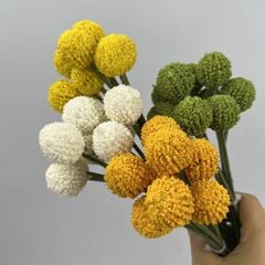 Bó 9 Hoa Quả Cầu Tròn Bồ Công Anh Nhỏ