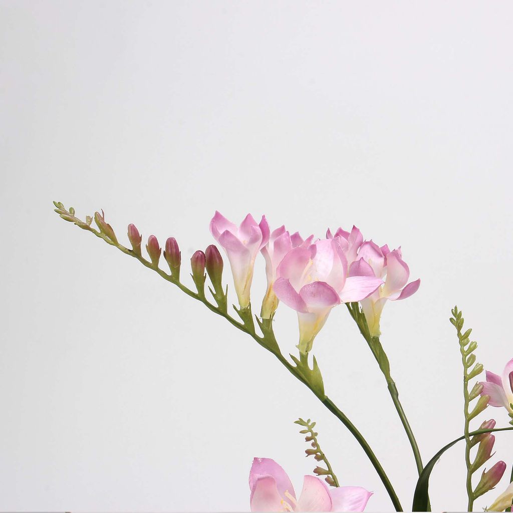Hoa Giả Decor Hoa Lan Nam Phi Sang Trọng