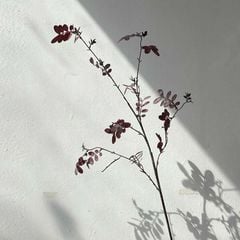 Hoa Giả Trang Trí Mô Hình Cành Lá Nâu Đỏ Khô Châu Âu