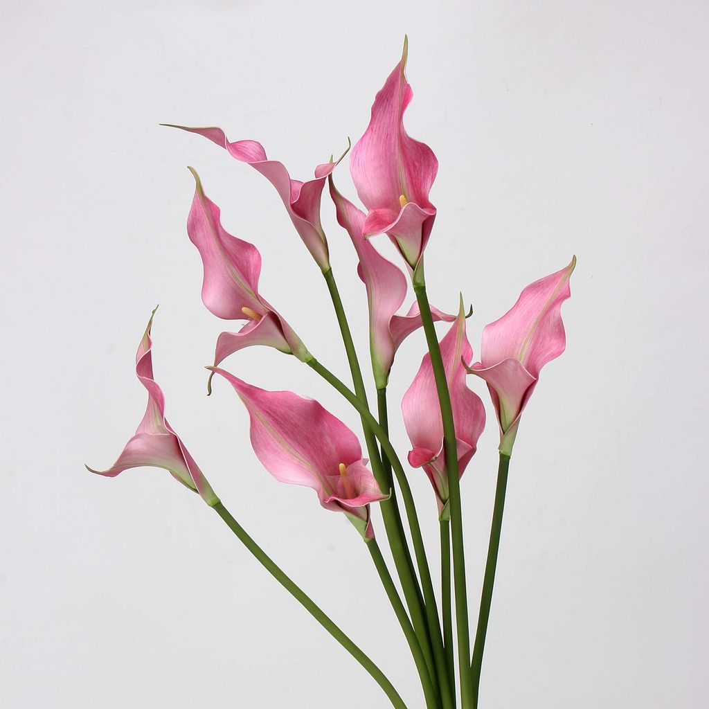 Hoa Giả Decor Hoa Lily EVA Calla Sang Trọng