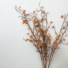 Cây Hoàng Liên Gai Giả Dạng Hoa Khô Phong Cách Tối Giản