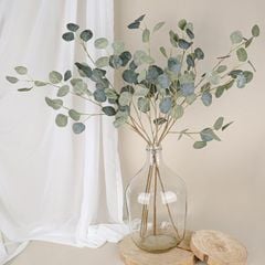 Lá Bạch Đàn Cánh Tròn Decor
